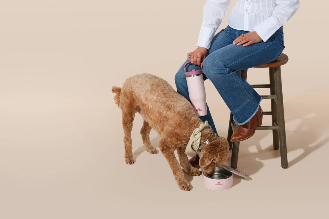 ชามอาหารสัตว์เลี้ยง Stanley 1913 Pet Bowl
